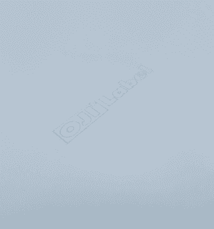 Decal giấy ojilabel